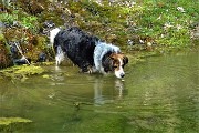 131 Acqua buona e fresca
